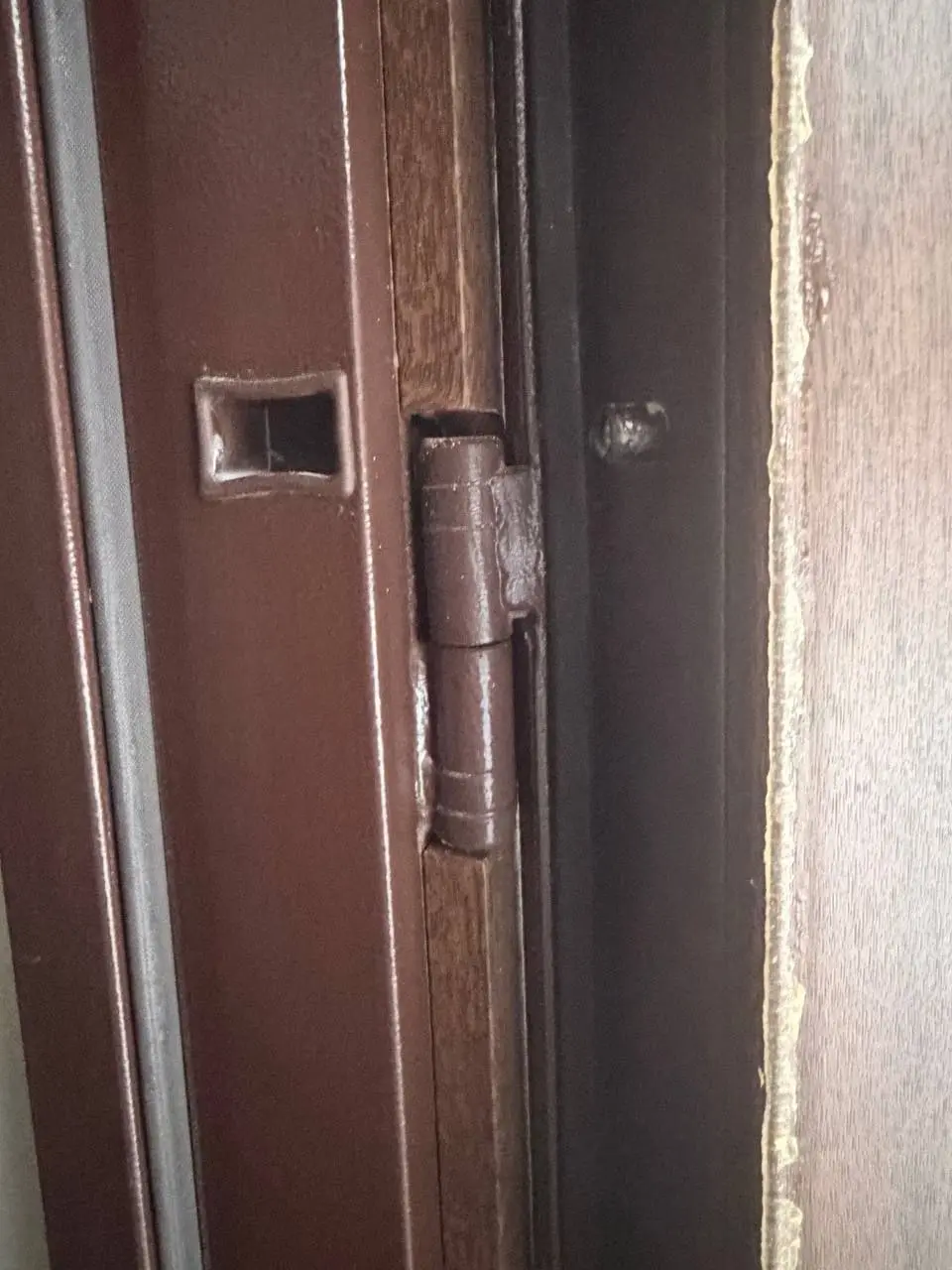 Регулювання петель вхідних дверей у Києві: три способи усунення затирання 3 Регулювання дверей Київ photo петлі на розвороті